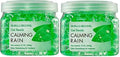 SMELLS BEGONE Odor Eliminator Gel Beads - 12 oz, Pack of 2 - Eliminates Odor in Bathrooms, Cars, Boats, RVs & Pet Areas - Air Freshener - Made with Essential Oils - Calming Rain Scent