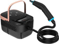 2500W Portable Handheld Steam Cleaner, High Temperature Pressurized Steam Cleaning Large Capacity 10s Fast Heating Steamer for Car Detailing, Furniture, Couch, Bed Bugs, House, Windows (BLACK)