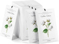 12 Packs Scent Sachets for Closet Clothes Storage - White Cotton Fragrance Long Lasting Home Air Freshener Odor Deodorizer