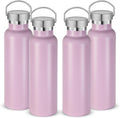 Neihepal 20 oz Insulated Water Bottles Bulk 4 Pack,Stainless Steel Double Wall Sport Bottle with Lid of Handle,Metal Reusable Thermoses Flask with Cup Cap for School,Hikers,Gift (Pink,Set of 4)