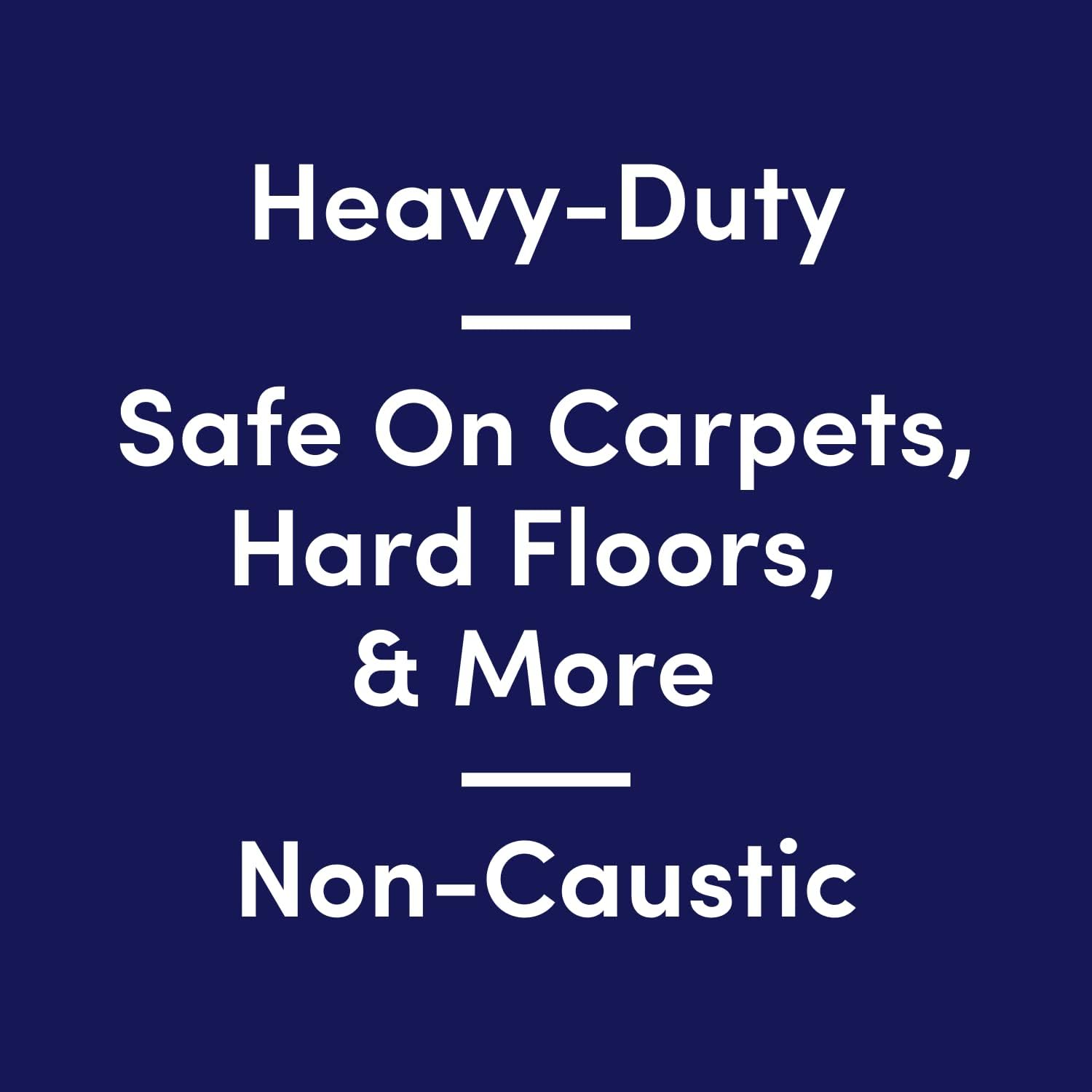 Bioesque Advanced Stain + Odor Remover, Pet-Friendly Natural Enzymatic & Bacterial Formula, Heavy-Duty Stain & Odor Remover, Safe on Carpets, Hard Floors, & More, 32 Fl Oz (Pack of 6)