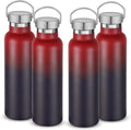 Neihepal 20 oz Insulated Water Bottles Bulk 4 Pack,Stainless Steel Double Wall Sport Bottle with Lid of Handle,Metal Reusable Thermoses Flask for School,Cyclists,Hikers,Gift (Dark Rainbow,Set of 4)