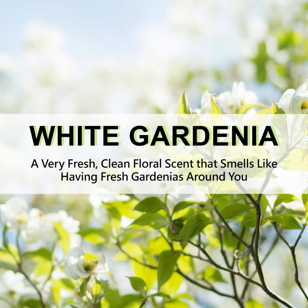 ROSE COTTAGE Large 12 Packs White Gardenia Hanging Closet Deodorizer Air Freshener Long Lasting Scented Sachets Smell Goods for House