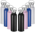 Neihepal 20 oz Insulated Water Bottles Bulk 8 Pack,Stainless Steel Double Wall Sport Bottle with Lid of Handle,Metal Reusable Flask for School,Cyclists,Hikers,Gift (Mix,Set of 8)