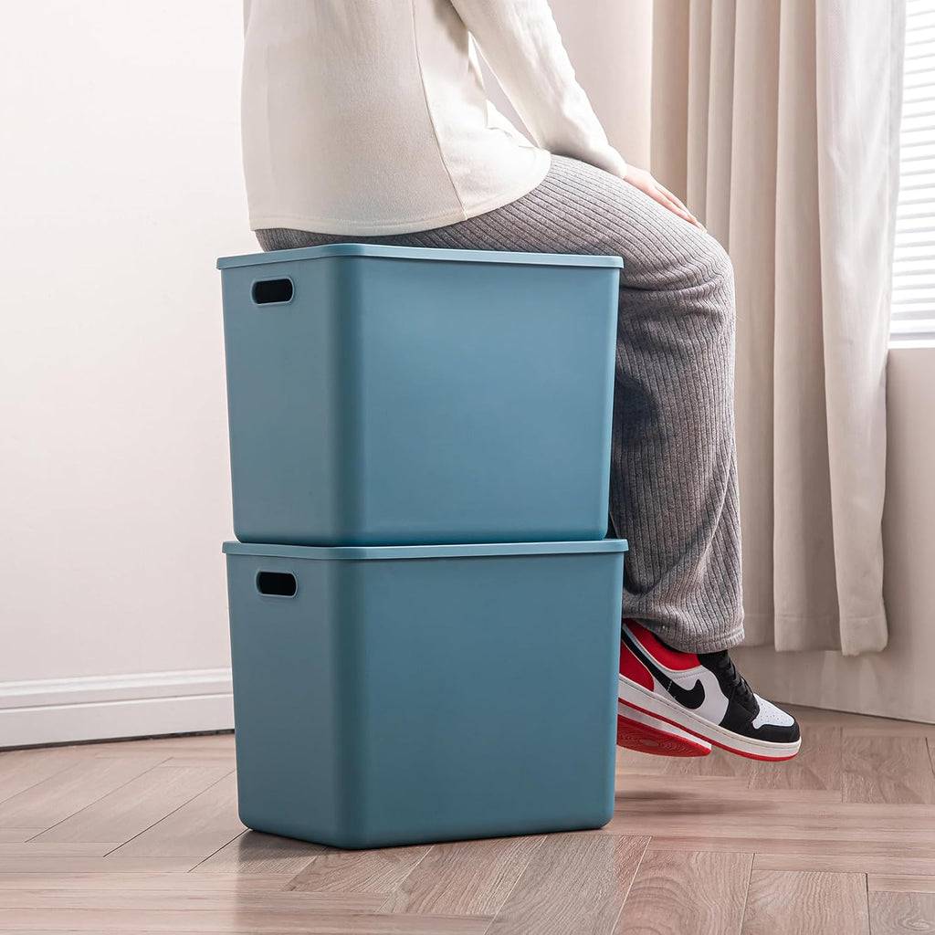 Plastic Storage Bins with lids,Storage Baskets,Container with handle,Storage Organizer Bins for Shelves,Office,Bedrooms,Closets, Cabinets (Blue, 5XL+2L)