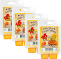 Our Own Candle Company Premium Wax Melt, Falling Leaves Scent, Handmade in The USA, 24 Cubes (4 Pack, 9.6oz Total)