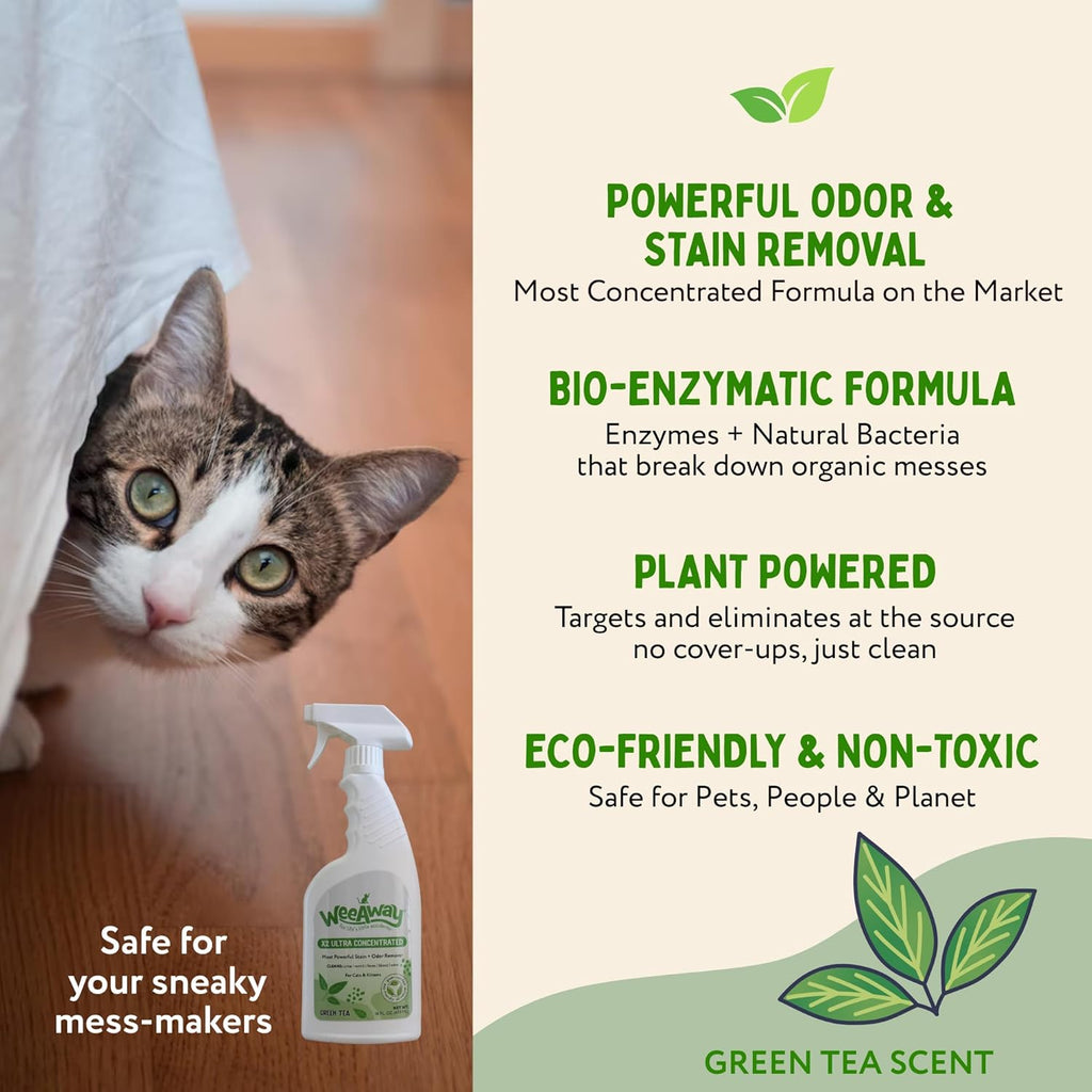 Wee Away X2 Ultra Concentrated Pet Stain and Odor Remover, Enzyme Cleaner for Cat Urine and Poop Carpet & Furniture Safe, Pet Urine Odor Eliminator Spray (Green Tea 16 oz)