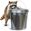 Plexon 10 Gallon Trash Can with Lid Outdoor Galvanized Metal Bucket with Locking Lid for Poultry Feed Bird Seed Storage Ash Garbage Trash Bin