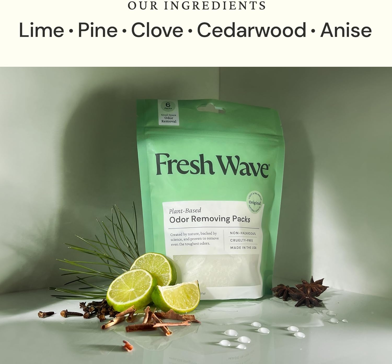 Fresh Wave Original Odor Eliminating & Deodorizing Packs - Bag of 6 & Fresh Pod Case - Safer Odor Relief for Small Spaces, Natural Plant-Based Odor Eliminator, Odor Absorbers for Home