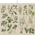 Vintage Plants Herbs Floral Color Microfiber Dish Drying Mat For Kitchen Countertop Absorbent Reversible Drainer Rack Pad 18 X 16 Inch