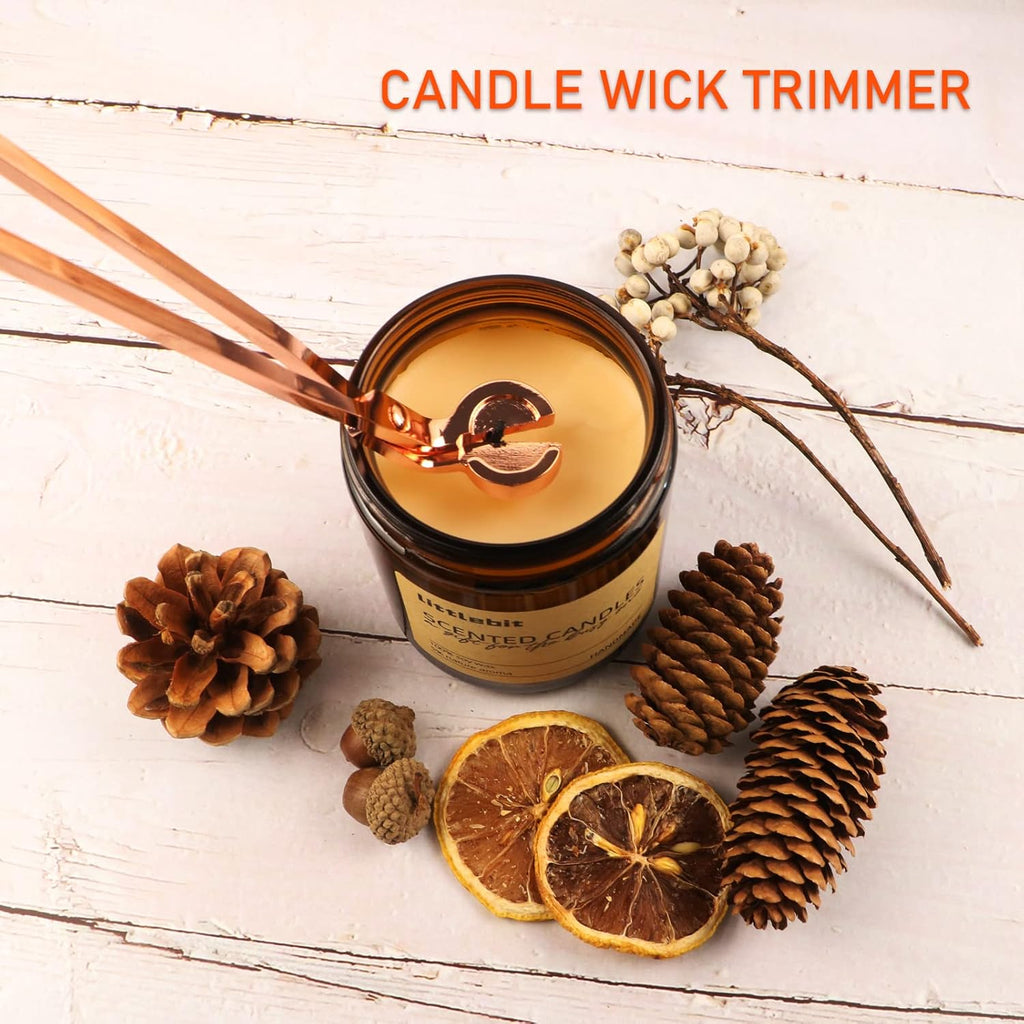 5 in 1 Candle Accessory Set, Candle Wick Trimmer Cutter, Candle Snuffer & Candle Wick Dipper,USB Rechargeable Lighter, Storage Tray Plate for Candle Lover Mom Gift, Candle Care Kit (Rose Golden)