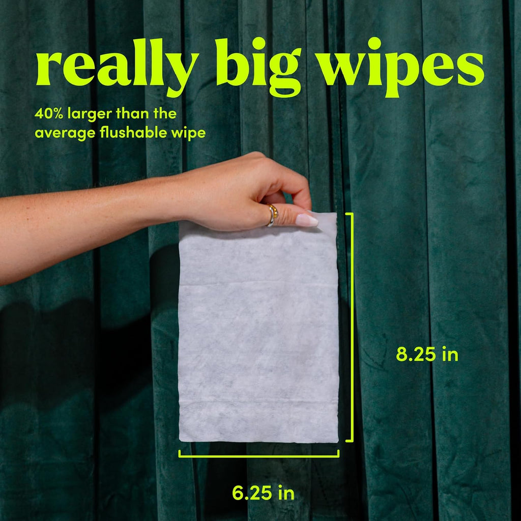 goodwipes Flushable Wipes Travel Size - Extra Large Adult Wet Wipe - On-the-Go Portable Wipes - Sewer & Septic Safe - Hygiene Essentials - Shea Coco & Rosewater, 108 Count (6 Packs)