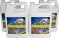 Black Diamond Stoneworks Wood & Laminate Floor Cleaner- Ready to Use Non-Toxic No-Rinse Formula - Safe for Vinyl, Wood, and Engineered Floors (512 Fl Oz)