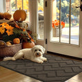 hicorfe Indoor Door Mat,Non Slip Door Mats,32"x48" Front Back Door Mat Rubber Backing,Absorbent Resist Dirt Entrance Inside Floor Mats for Entryway Washable Low-Profile(Latte)