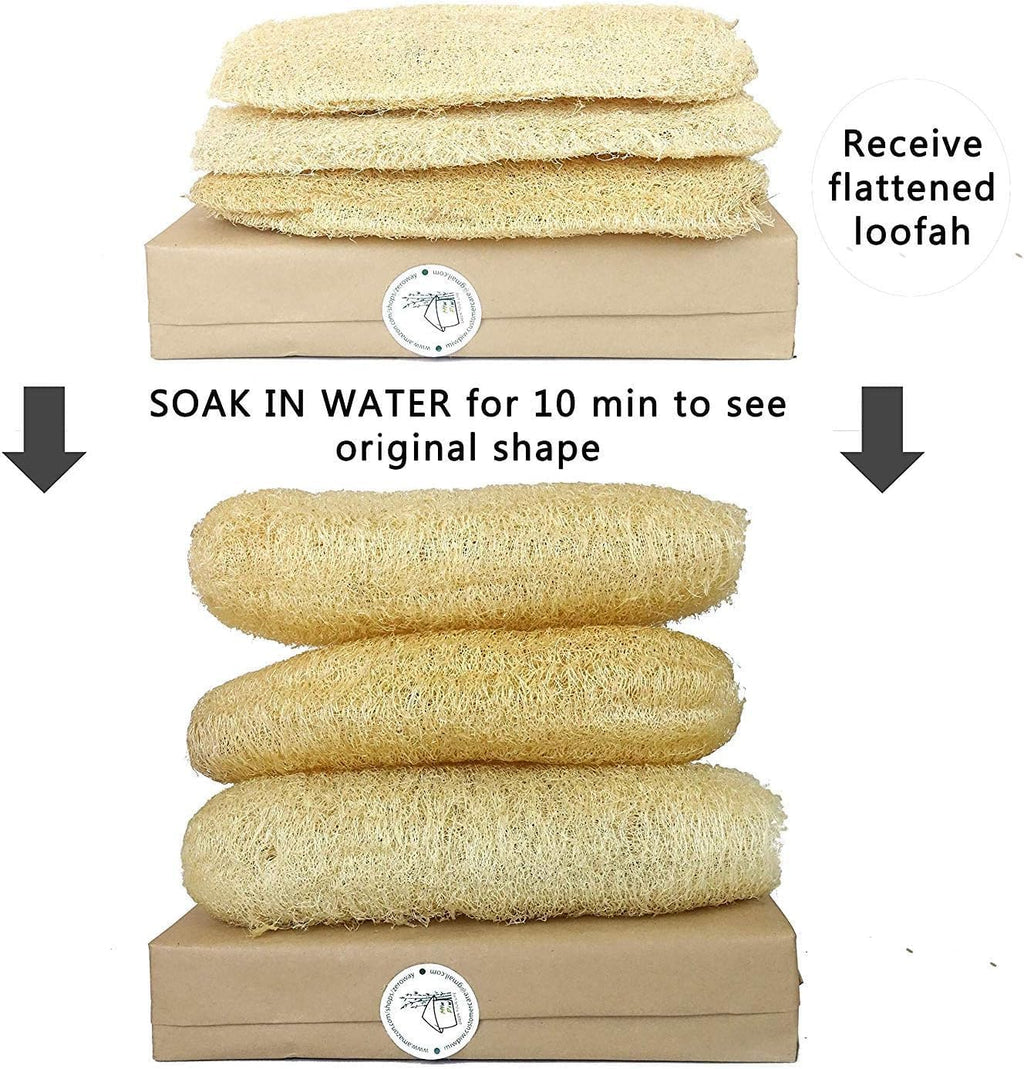 Natural Whole Loofah Dish Sponge (Pack 3) - Multipurpose Dish Sponges - 100% Biodegradable Compostable, Dishwashing Scouring Pad, Zero Waste