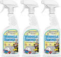 Grandma's Secret Wrinkle Remover Spray - Easily Removes Wrinkles & Odors - Wrinkle Release, Fabric Refresher Spray, Chlorine, Bleach and Toxin-Free - 16 Ounce, 3 Pack