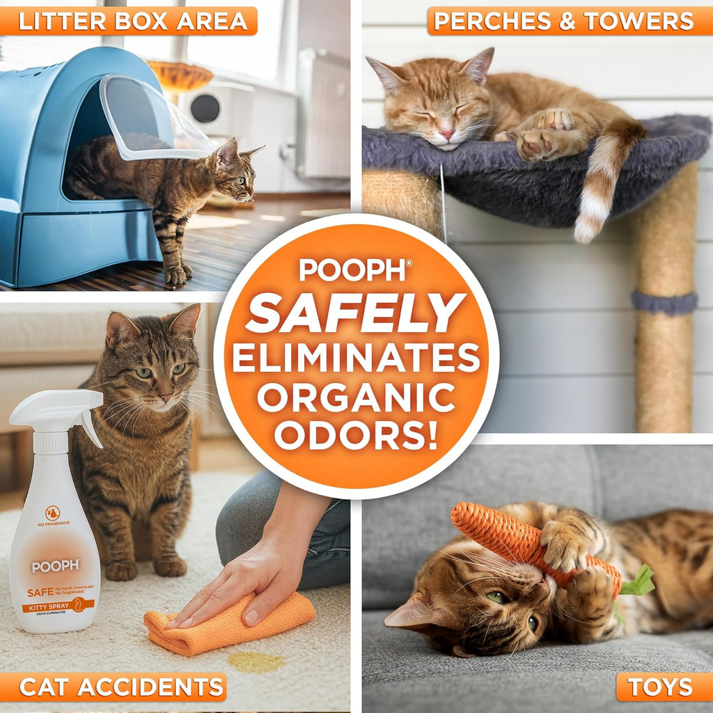 POOPH Pet Odor Eliminator and Litter Box Deodorizer - 2x32oz Bottles - Instant, Safe, Fragrance-Free, Clear, Non-Staining, Unscented