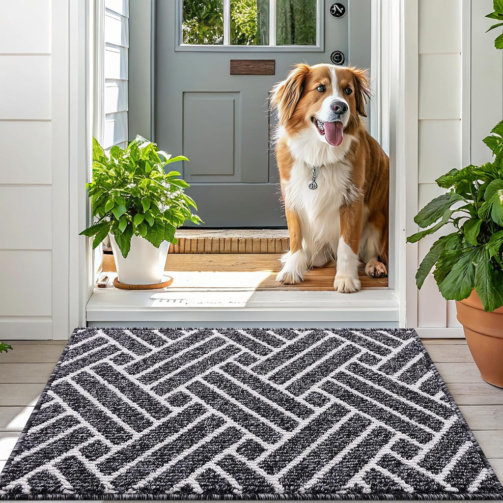 OLANLY Large Indoor Door Mat, 59x35 Inch, Dirt Resistant and Absorbent, Non-Slip Rubber Backing Floor Mats, Easy Clean Low-Profile Doormat for Entryway, Front Door, and Inside Entrance, Black