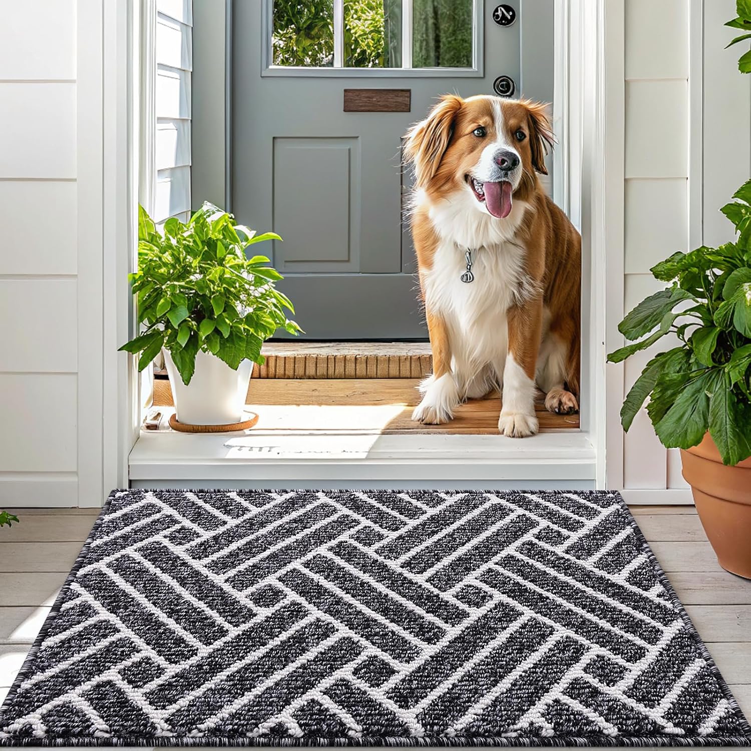 OLANLY Large Indoor Door Mat, 71x47 Inch, Dirt Resistant and Absorbent, Non-Slip Rubber Backing Floor Mats, Easy Clean Low-Profile Doormat for Entryway, Front Door, and Inside Entrance, Black