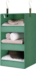 GRANNY SAYS 3-Shelf Closet Organizers and Storage, Foldable Hanging Closet Organizer, Hanging Closet Shelves with 2 Metal Hooks, Leak-Proof Closet Storage for Sweater, Clothes Organizer, Dark Green