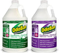 OdoBan Professional Disinfectant and Odor Eliminator Concentrate, Made in the USA, Original Eucalyptus and Lavender Scents, 2-Pack, 1 Gallon Each
