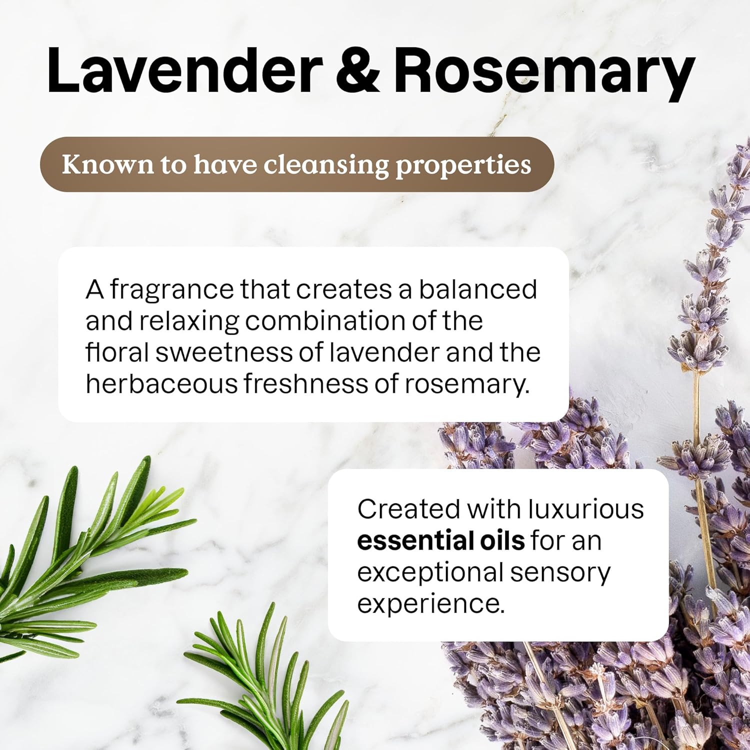 ATTITUDE Kitchen Cleaner Spray, Natural Origin Ingredients, EWG Verified, Cleans and Degreases, Streak-Less, Lavender & Rosemary, 26 Fl Oz (Pack of 3)