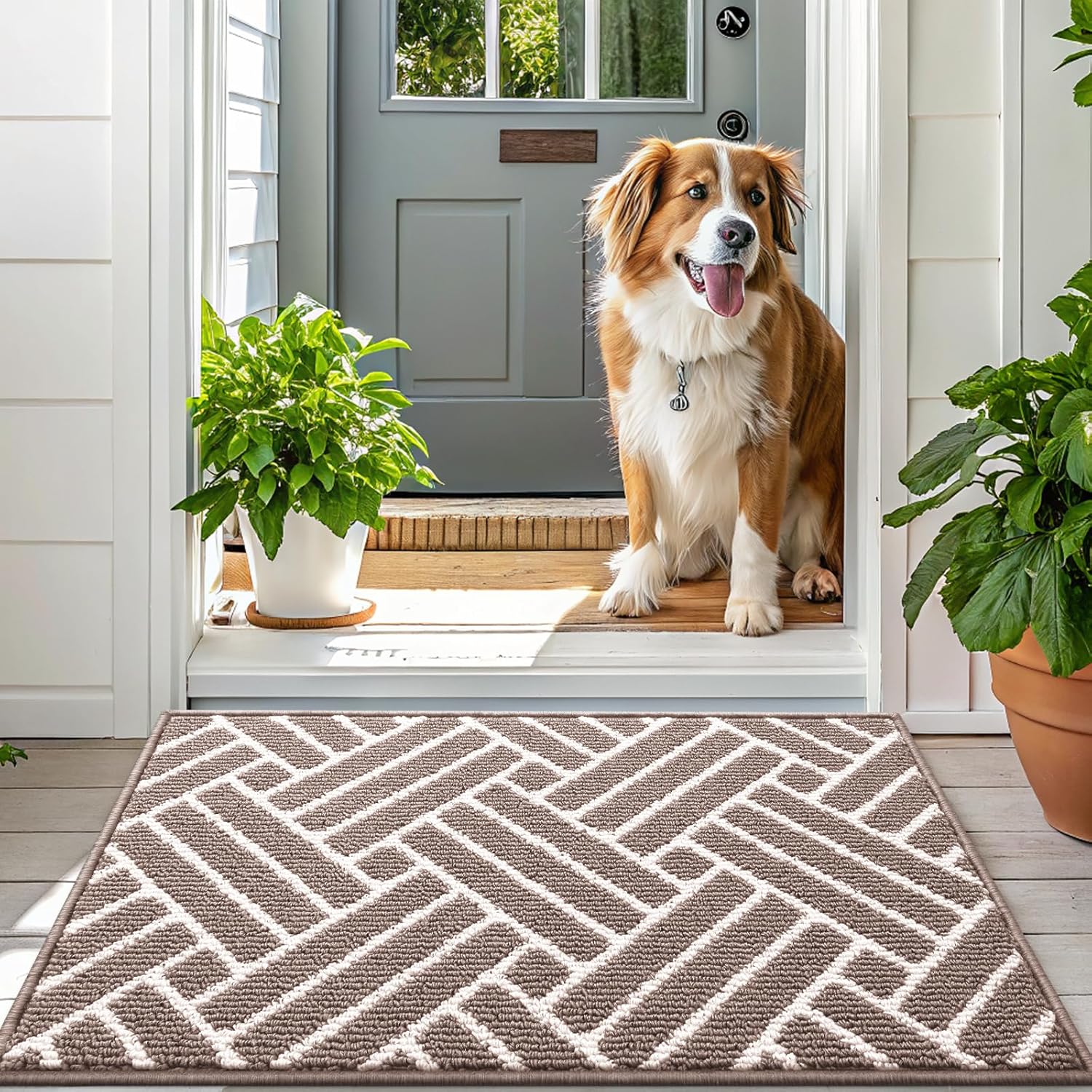 OLANLY Indoor Door Mat, 48x32 Inch, Dirt Resistant and Absorbent, Non-Slip Rubber Backing Floor Mats, Easy Clean Low-Profile Doormat for Entryway, Front Door, and Inside Entrance, Brown