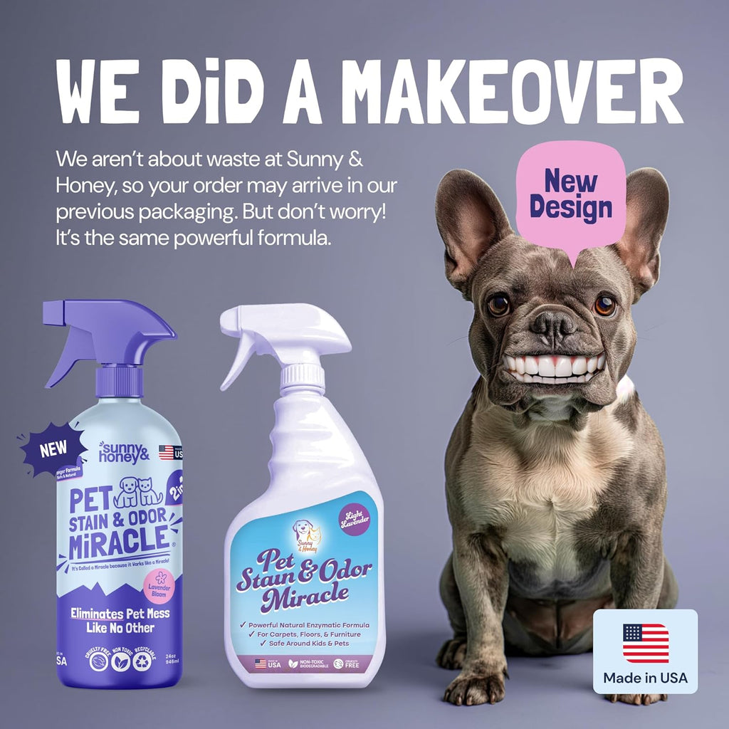 Sunny & Honey Pet Stain & Odor Miracle - 32 Fl Oz, Light Lavender Scent - Carpet Stain Remover & Urine Odor Eliminator - Upholstery Cleaner Spray - Enzyme Formula for Upholstery, Couch & Mattress