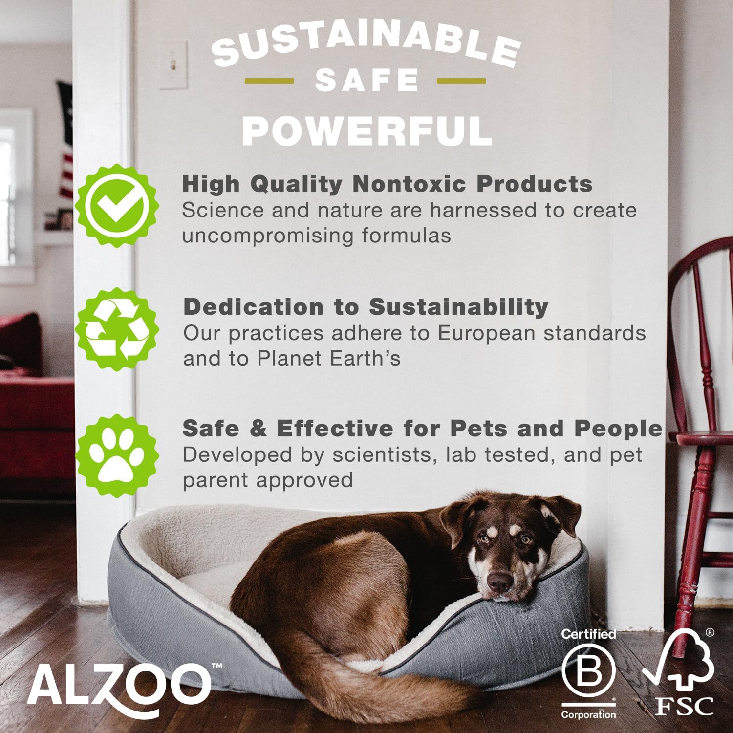 ALZOO Stain & Odor Remover, Quickly Lifts & Dissolves Pet Stains & Helps Eliminate Odors, 100% Plant-Based Active Ingredients, Citrus Vanilla Scent, 16 Fl. Oz Spray Bottle
