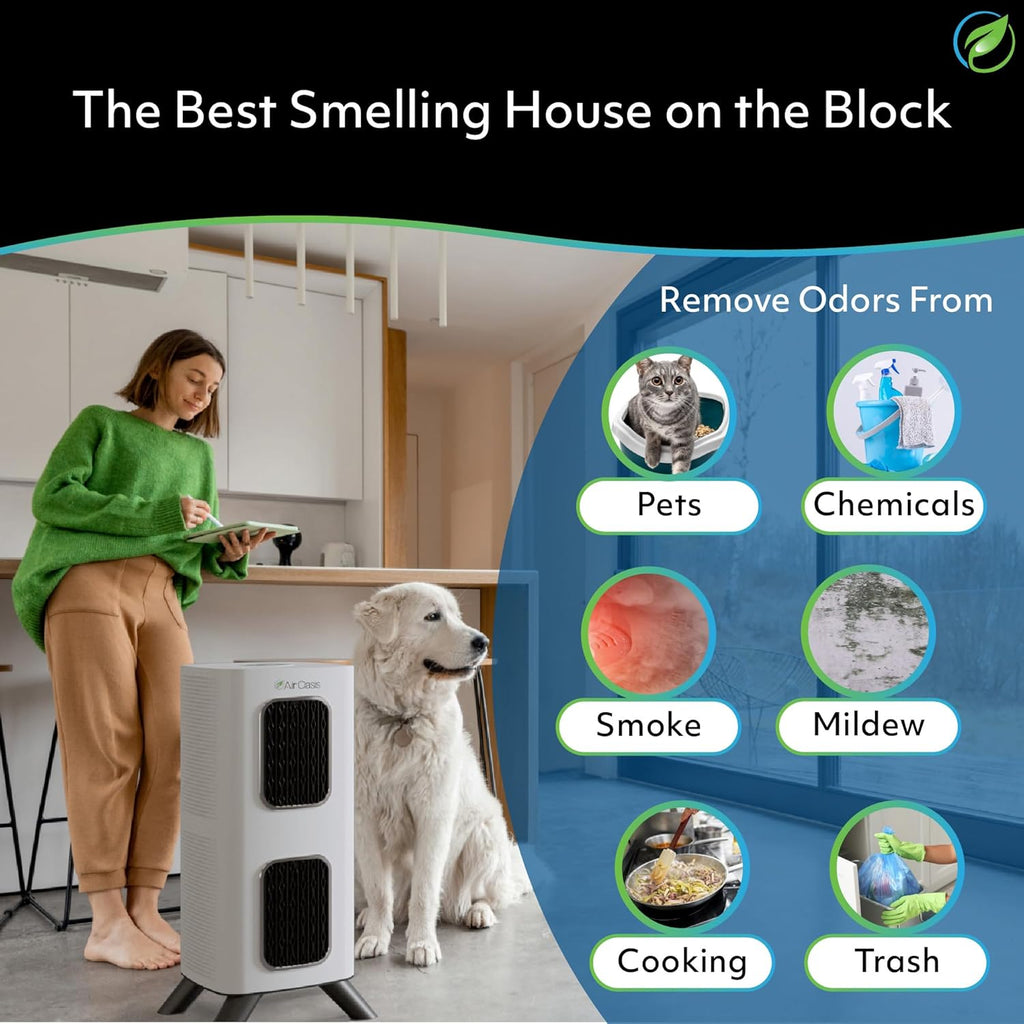 Air Oasis iAdaptAir 2.0 H13 HEPA Filter Air Purifier Reduces 99% of Viruses, Mold, Dust, Smoke, Pollen & Odors Quietest on The Market WiFi Compatible 2,650 Sq Ft of Clean Air