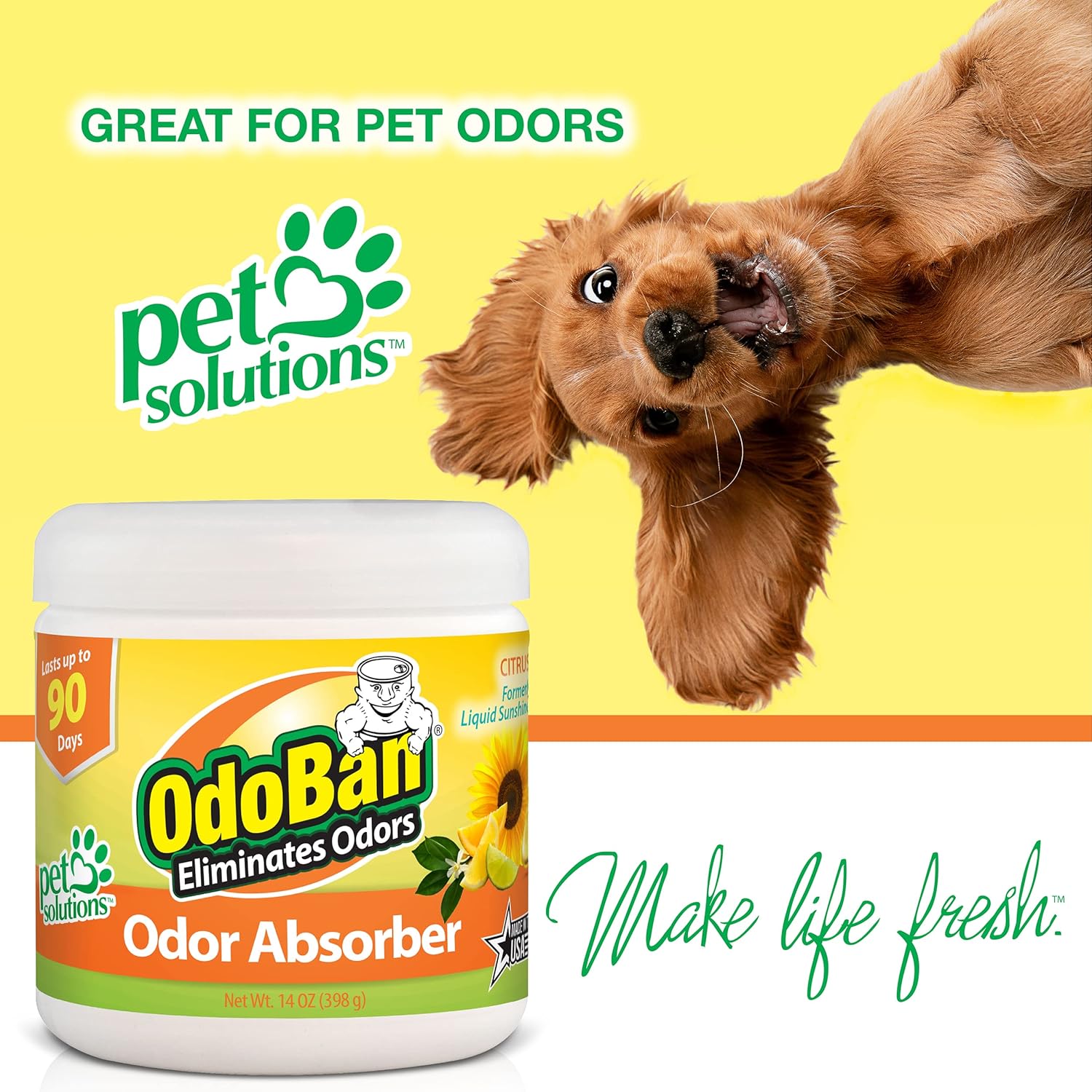 OdoBan Solid Odor Absorber Eliminator for Home and Small Spaces, Citrus Scent, 14 Ounces Each, 3-Pack