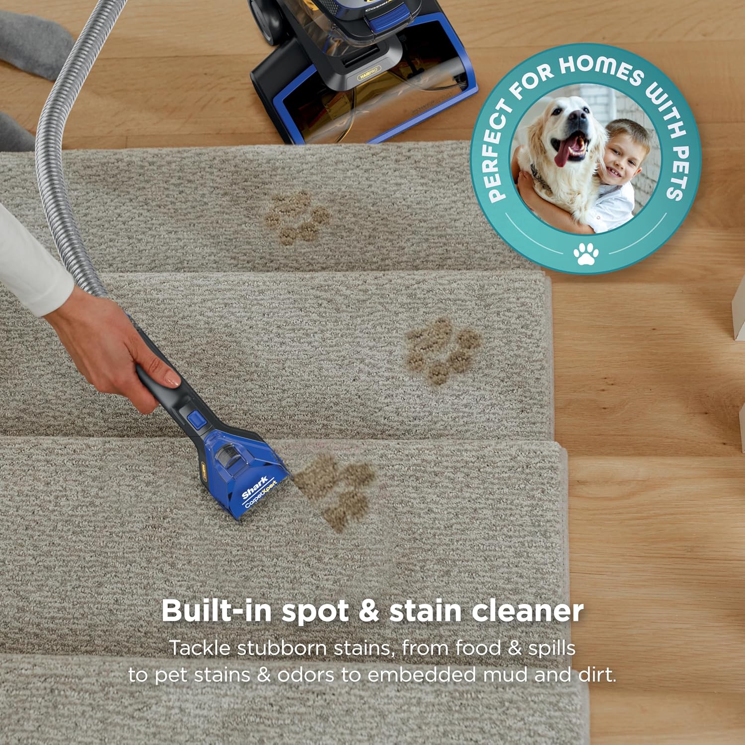 Shark CarpetXpert HairPro Upright Carpet, Area Rug & Upholstery Cleaner with Spot & Stain Remover, Perfect for Pets, Carpet Shampooer, 2 Cleaning Tools, Pet Cleaning Solution, Cobalt, EX251BRN