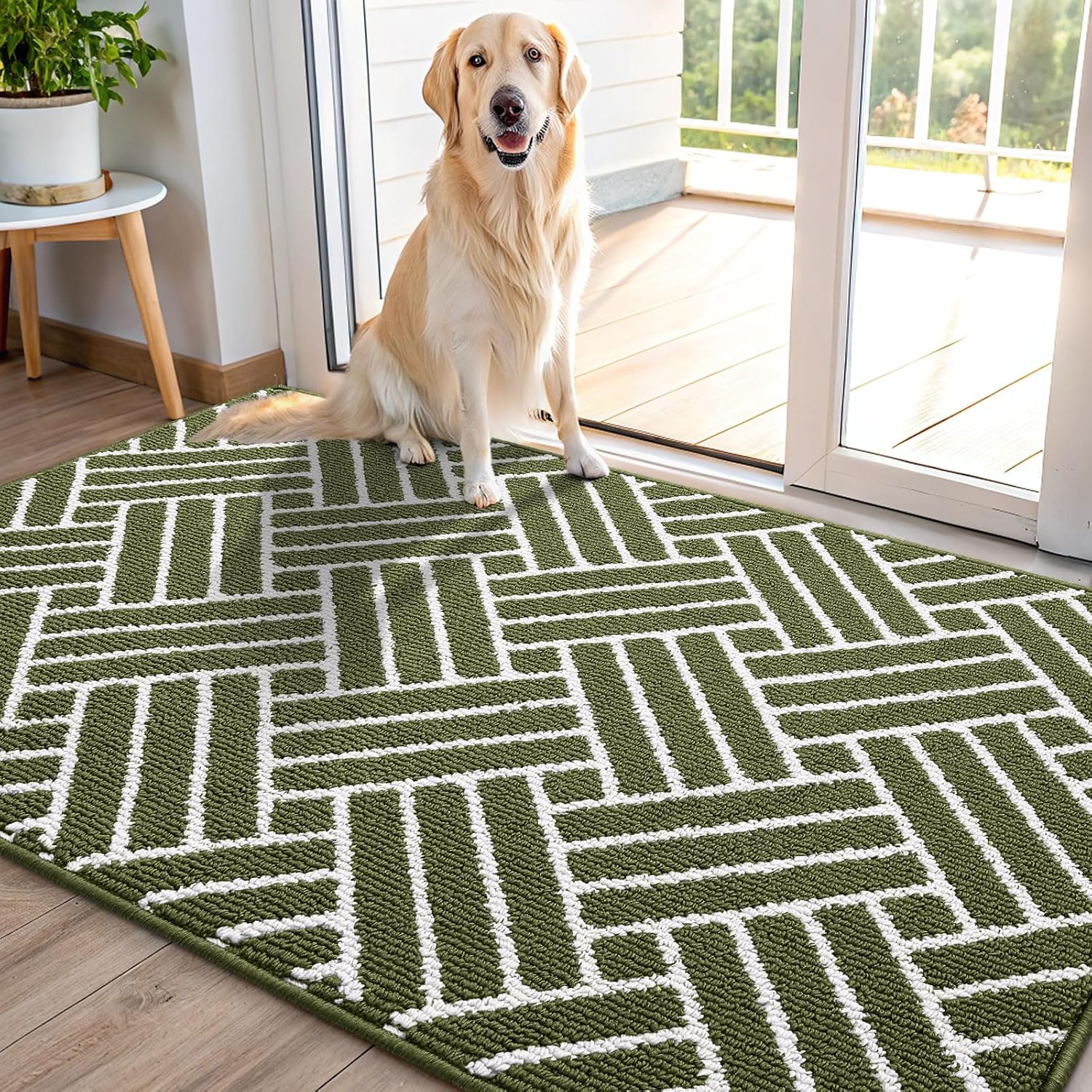 OLANLY Indoor Door Mat, 48x32 Inch, Dirt Resistant and Absorbent, Non-Slip Rubber Backing Floor Mats, Easy Clean Low-Profile Doormat for Entryway, Front Door, and Inside Entrance, Green