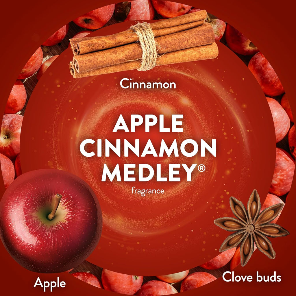 Air Wick Scented Oils 0+7 Apple Cinnamon Medley
