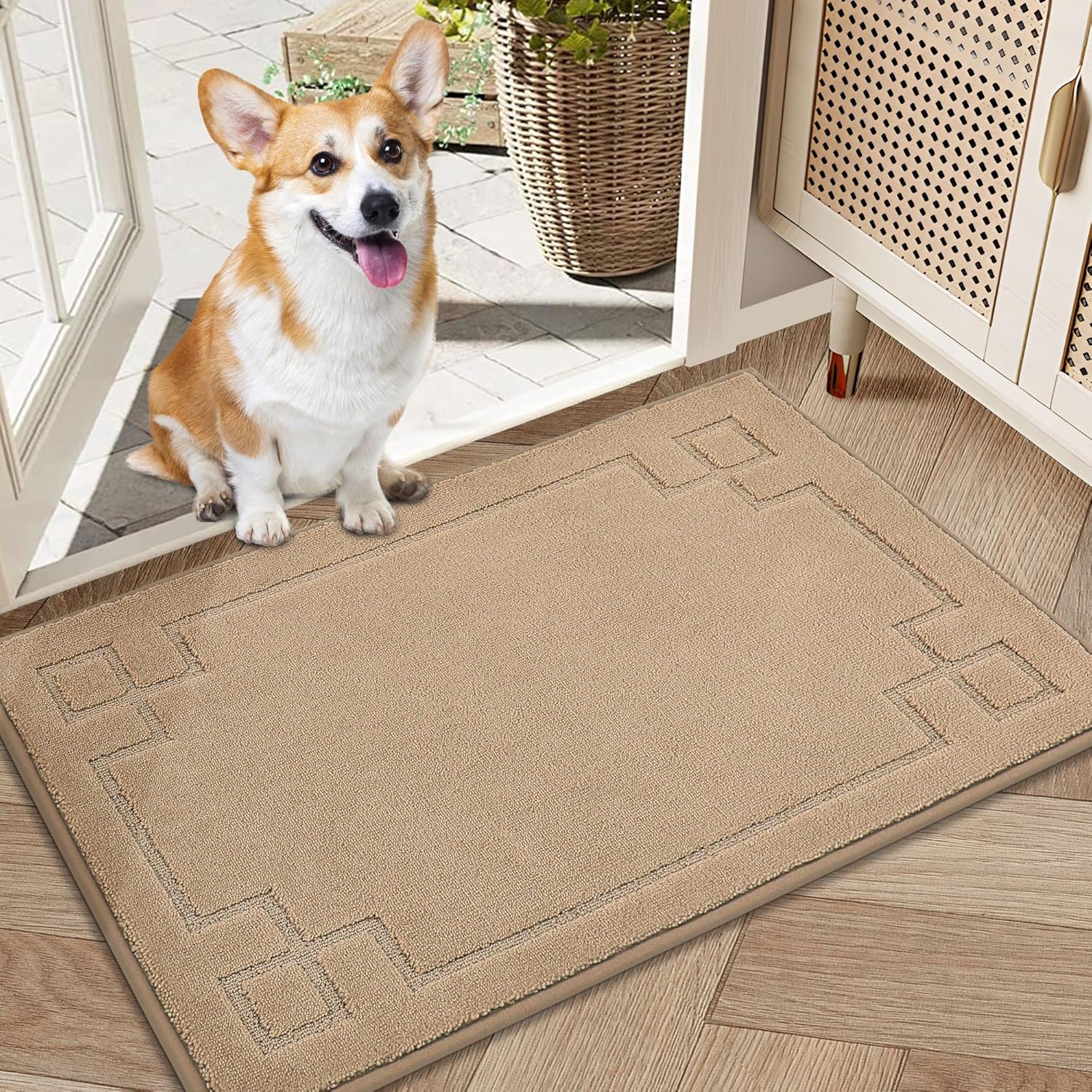 BEQHAUSE Door Mat 20" x 32", Non-Slip Door Mats Indoor Entryway Rugs Washable Low-Profile Absorbent and Stain Resist Floor Mats, Dog Door Mat for Front Back Door, Muddy Wet Shoes & Paws, Beige