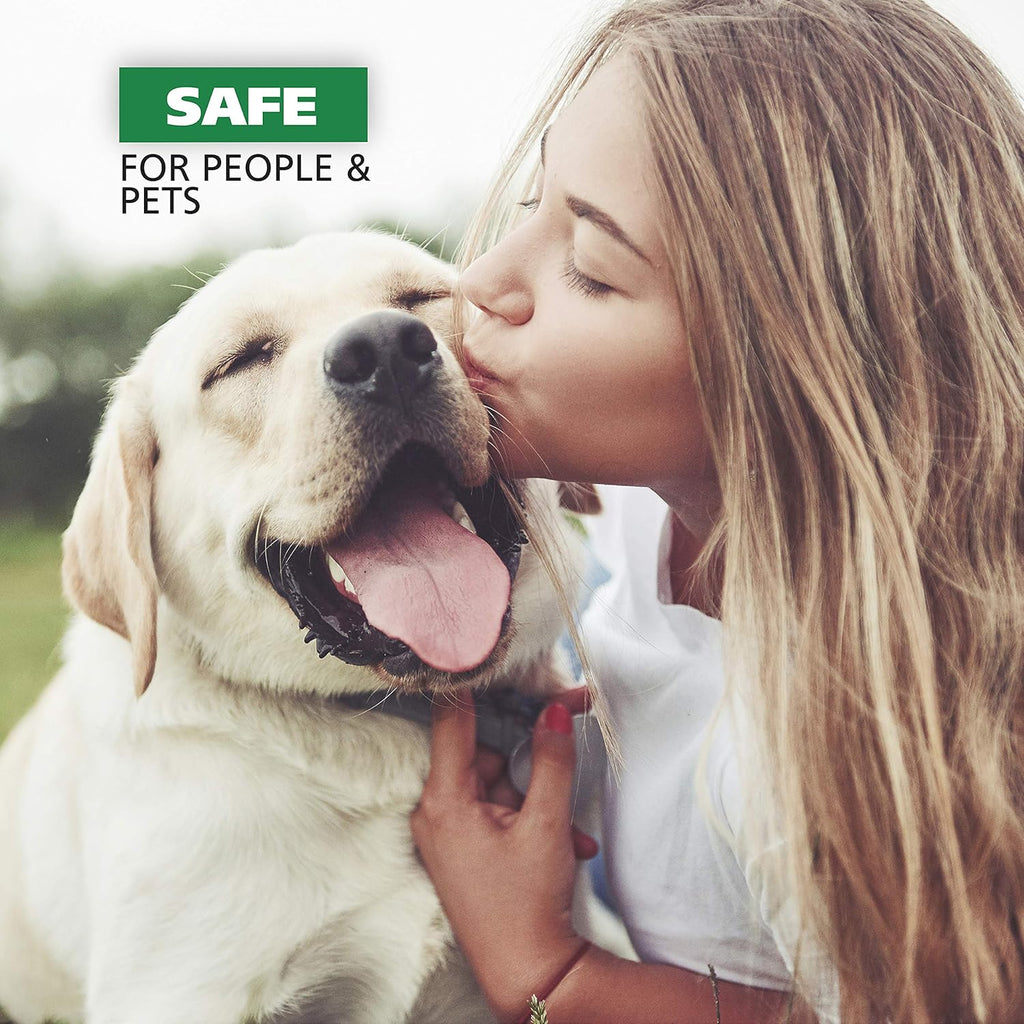 Wahl USA Scent Free Pet Odor Neutralizer Spray for Dog's Skin and Coat - Perfect for Between Baths – 8 oz – Model 820012